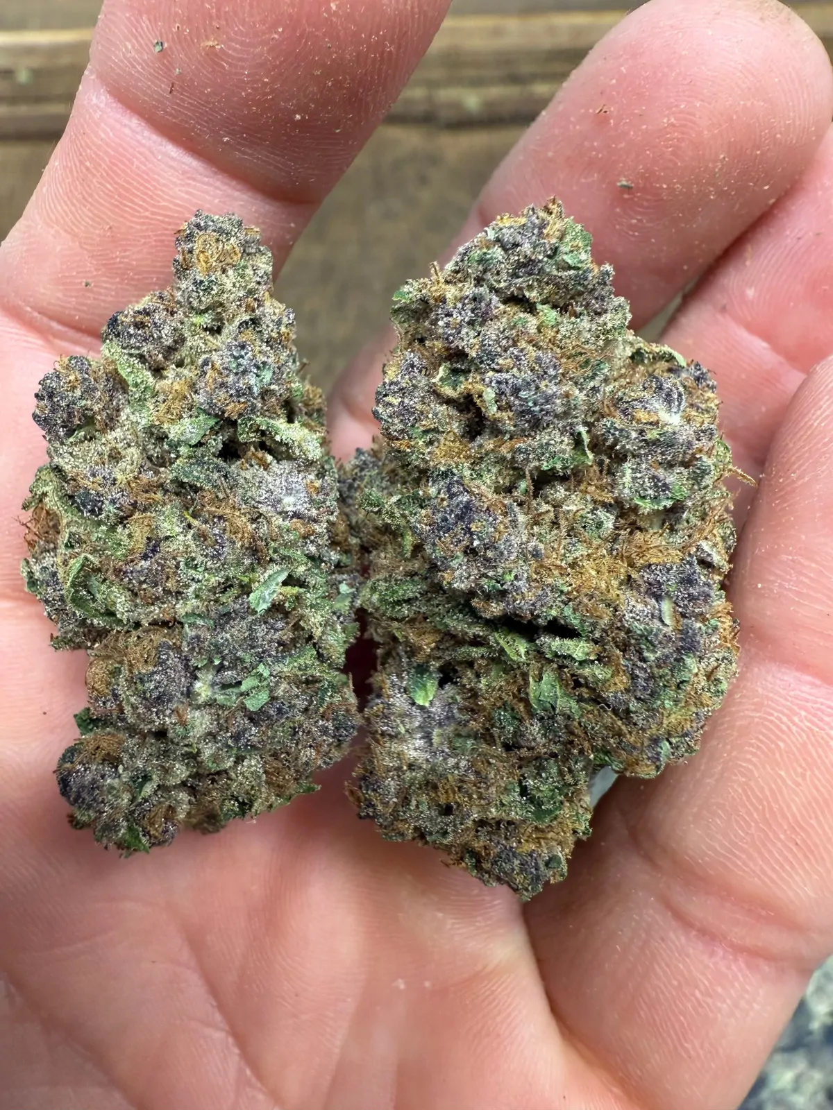 Gmo Grapes Packaged Flower